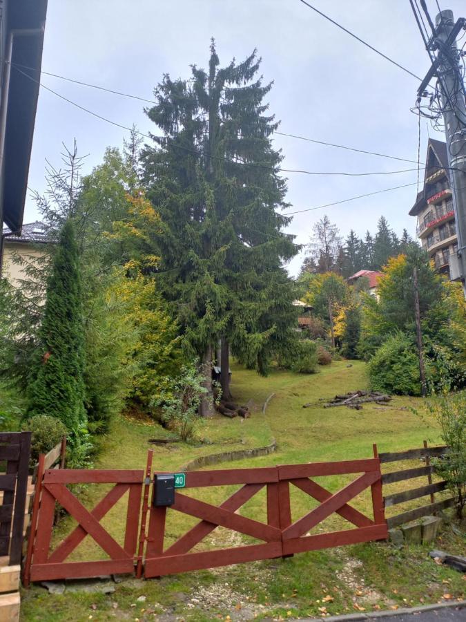 Apartament Aosta Central Sinaia Apartment Luaran gambar