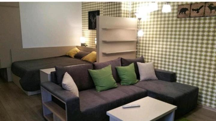 Apartament Aosta Central Sinaia Apartment Luaran gambar