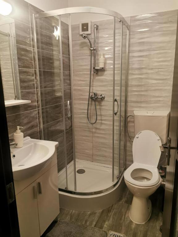 Apartament Aosta Central Sinaia Apartment Luaran gambar